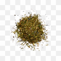 Free Download - Herbe De Provence Png,Herbs Png