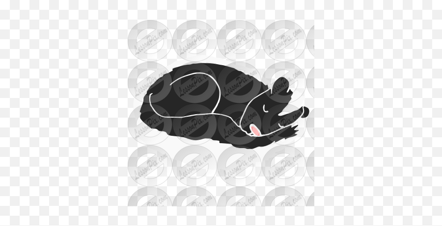 Hibernating Skunk Stencil For Classroom Therapy Use - Serpent Png,Skunk Icon
