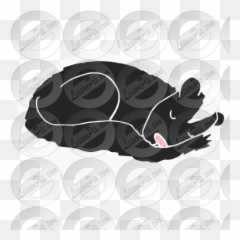 Hibernating Skunk Stencil For Classroom Therapy Use - Serpent png