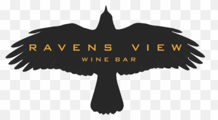 Download Hd Ravens View Logo - Winter Is Here Pillow Case Radical By David Platt Png,Ravens Logo Png