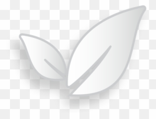 Pure Labs - Language png