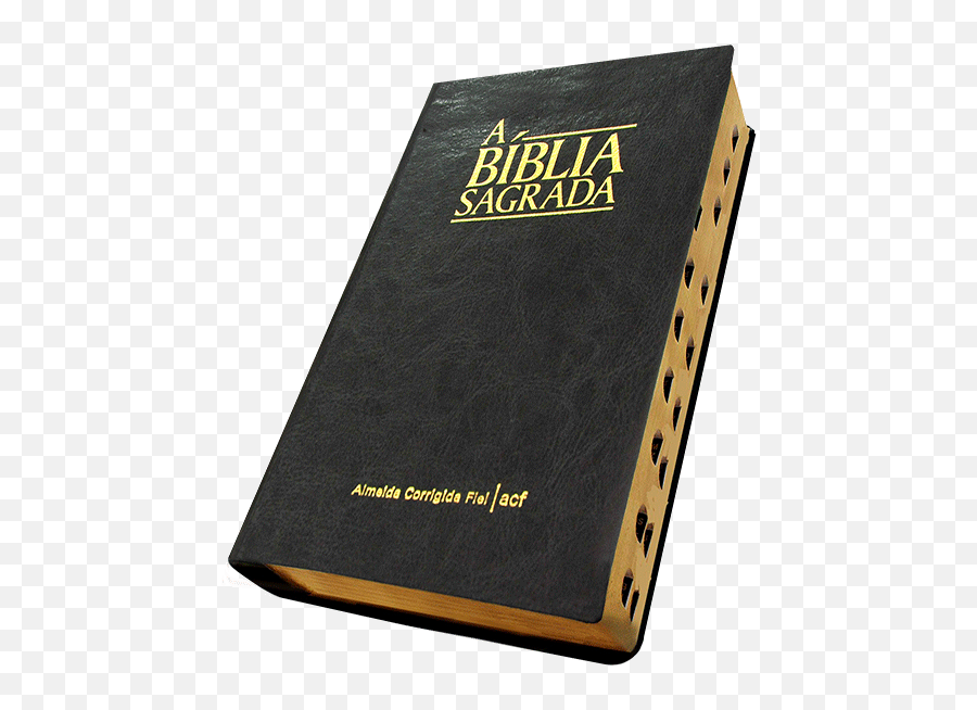 Bíblia Napa Luxo Média Preta - Magento Png,Biblia Png