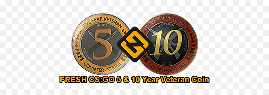 Csgo 5 U0026 10 Year Veteran Coin Fresh Account - Good Life Recordings Png,Csgo Png