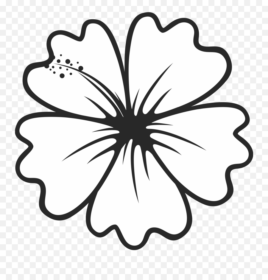 Hibiscus Outline Png Picture 690943 Flower - Transparent Hibiscus Flower Outline,Flower Outline Png