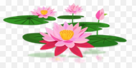 Lotus Png And Vectors For Free Download - Dlpngcom Portable Network Graphics,Lotus Png