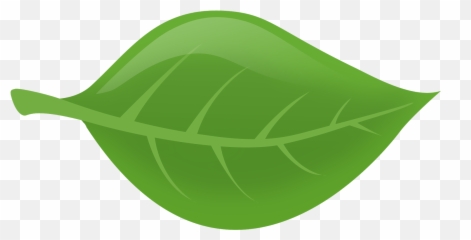 Dibujo Hojas Png Image - Illustration,Hojas Png