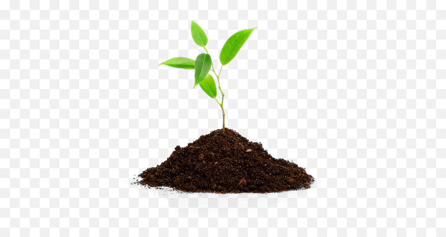 Download Hd So Neither The One Who Plants Nor - Planting Trees Transparent Background Png,Plants Transparent Background