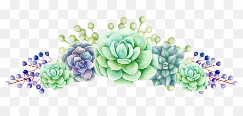 Download Plants Succulent Transparent Png Free Watercolor Succulent Clipart Free Transparent Png Images Pngaaa Com