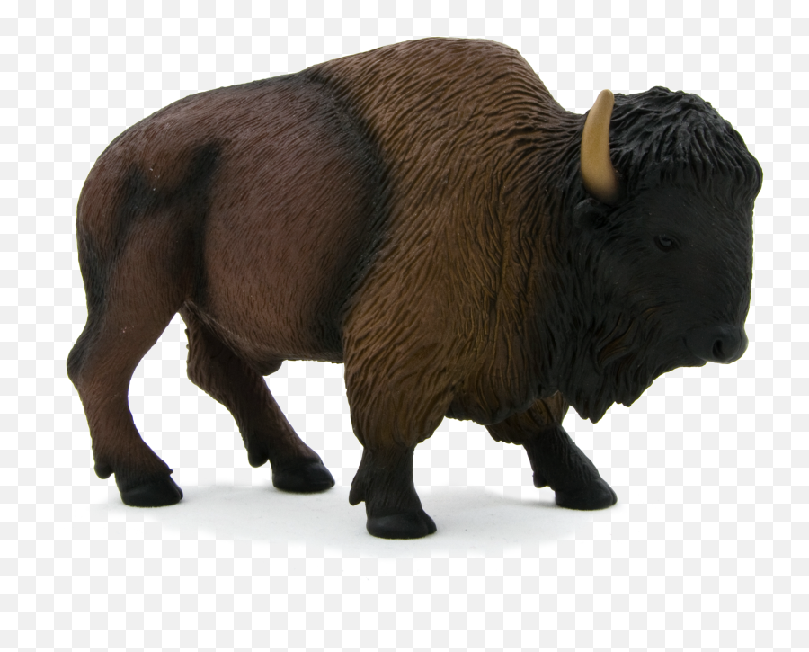 Bison Png - American Buffalo Png,Bull Transparent Background