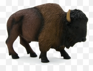 Bison Png - American Buffalo Png