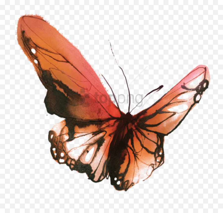Butterfly - Small Watercolor Butterfly Tattoo Png,Watercolor Butterfly Png