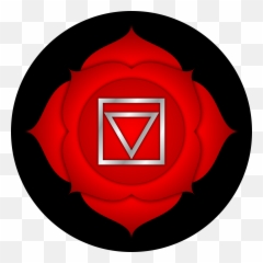 What Is A Chakra U2014 Amber U0026 Amethyst - Muladhara Chakra Png,Chakras Png