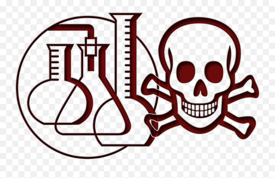 Painted Skull With Crossbones And Laboratory Equipment Free - Clip Art Science Equipment Png,Skull And Crossbones Png