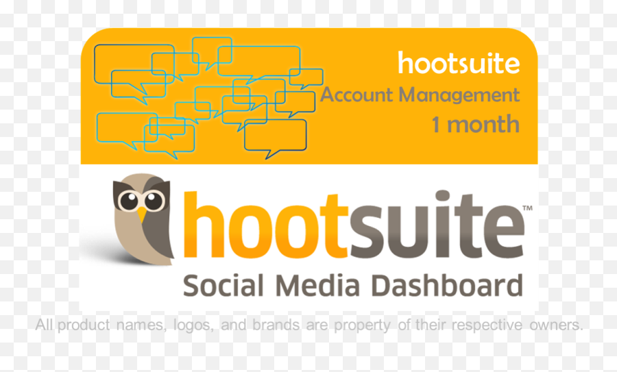 Hootsuite Account Management - Hootsuite Png,Hootsuite Logo Png