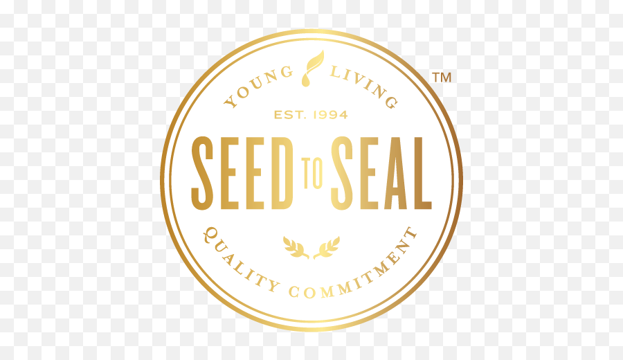 Experience The Life - Transforming Benefits Of Essential Seed To Seal Png,Seed Of Life Png