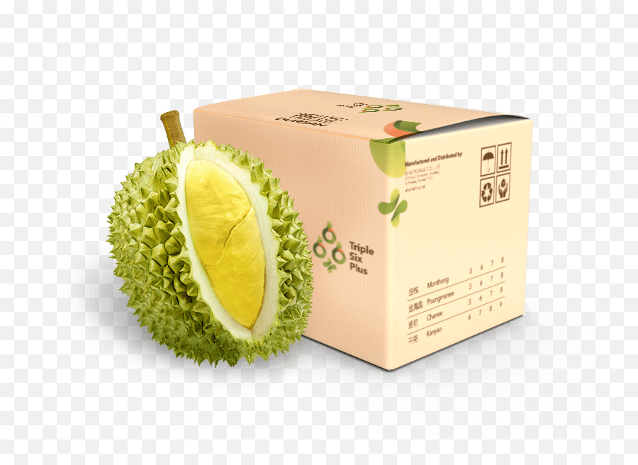 Download Fresh Durian - Box Full Size Png Image Pngkit Durian Box,Durian Png