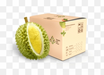 Download Fresh Durian - Box Full Size Png Image Pngkit Durian Box,Durian Png