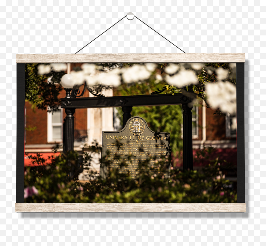 Georgia Bulldogs - Picture Frame Png,Uga Arch Logo