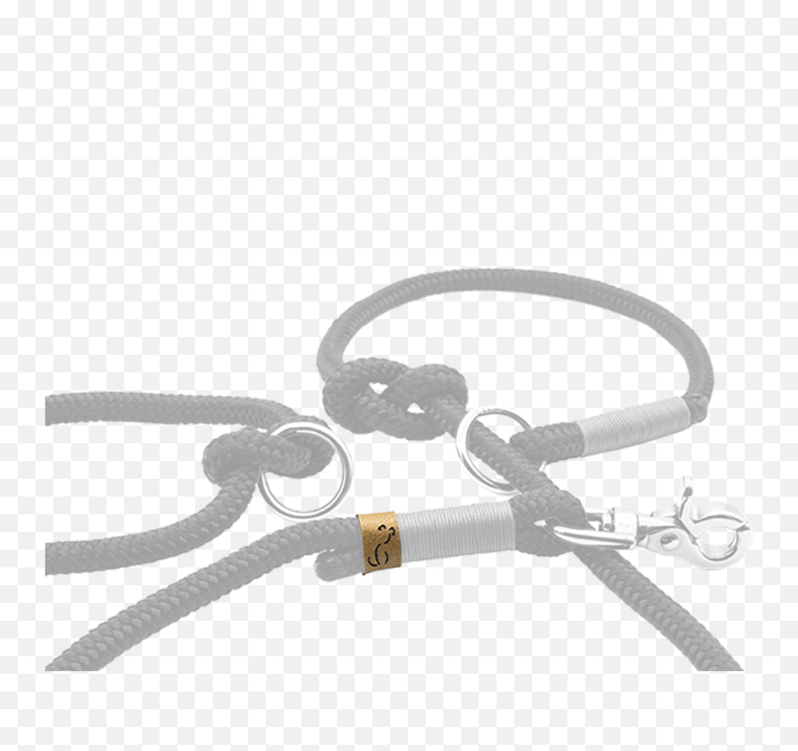 Adjustable Retriever Dog Leash 8 Mm - Solid Png,Leash Icon