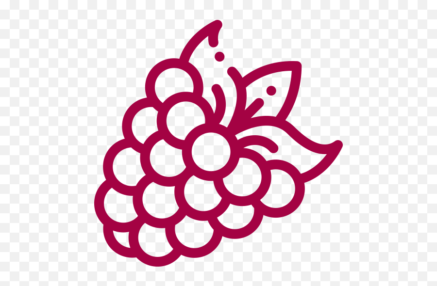 Blackberries - Varesco México Fields Png,Weather Icon For Blackberry