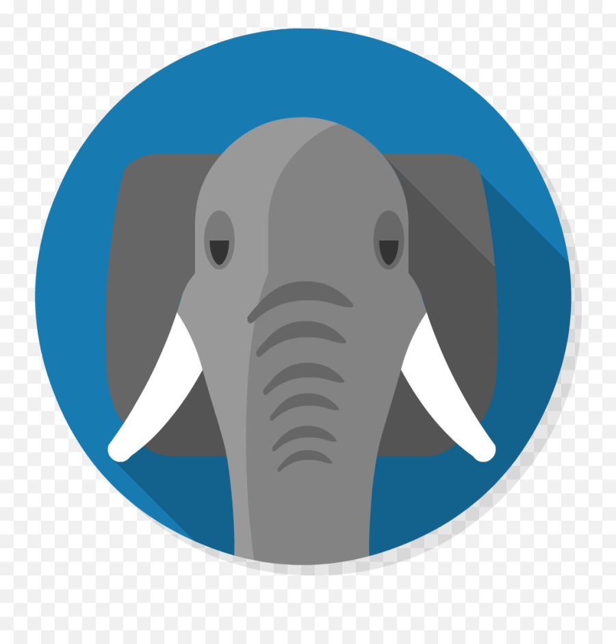 Mamp Pro Synth Full Stack Developer - Elephant Hyde Png,Mamp Icon