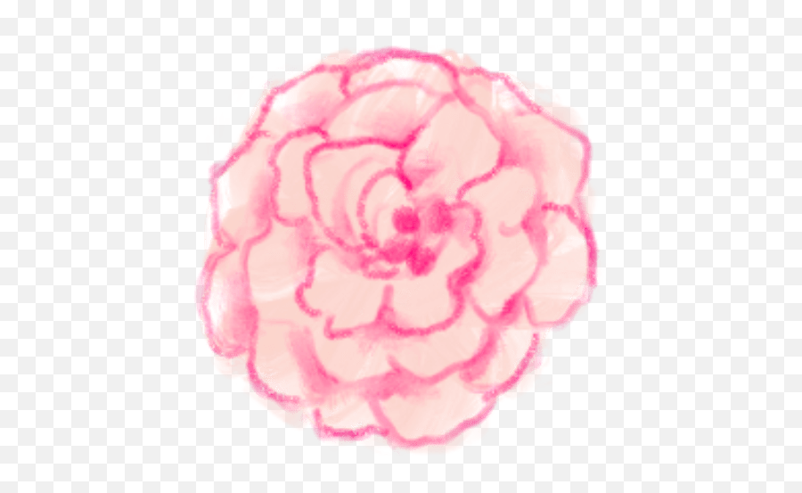 May 2020 Wallpapers U0026 Folder Icons - Whatever Bright Things Cabbage Rose Png,Flower Icon For Twitter