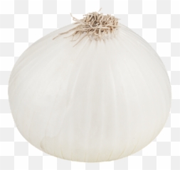 White Onion Png Image - White Onion Transparent Background,Onion Png
