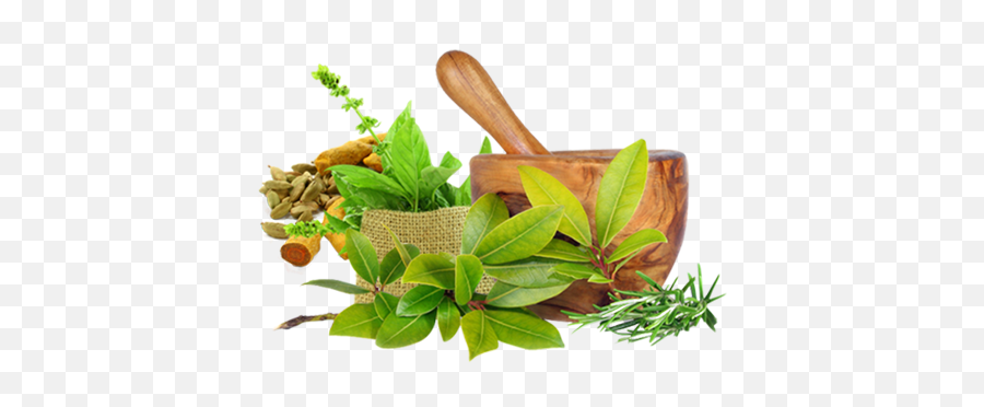 Ayurvedic Herbs Png 1 Image - Health Ayurveda,Herbs Png