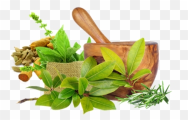 Ayurvedic Herbs Png 1 Image - Health Ayurveda,Herbs Png