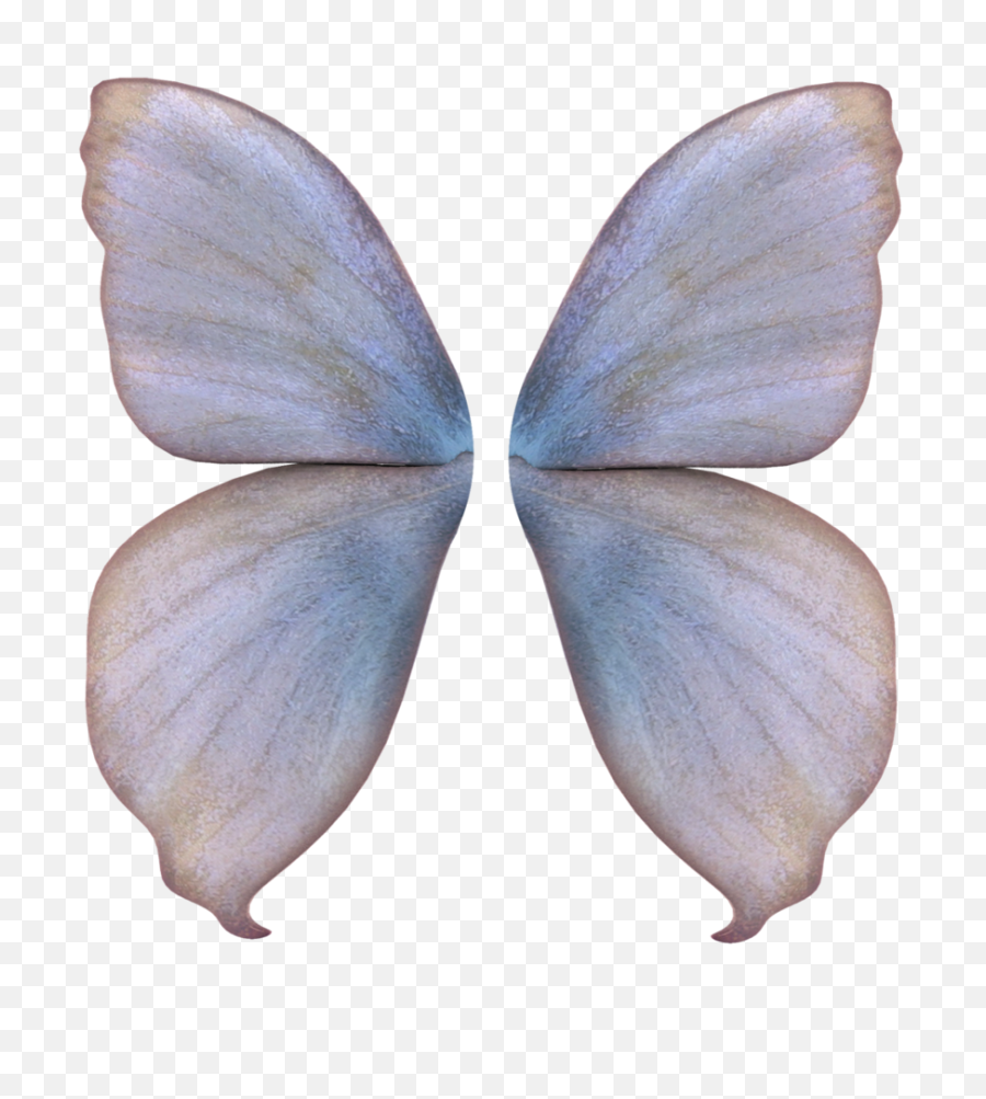 Fairy Wings Transparent Background Png