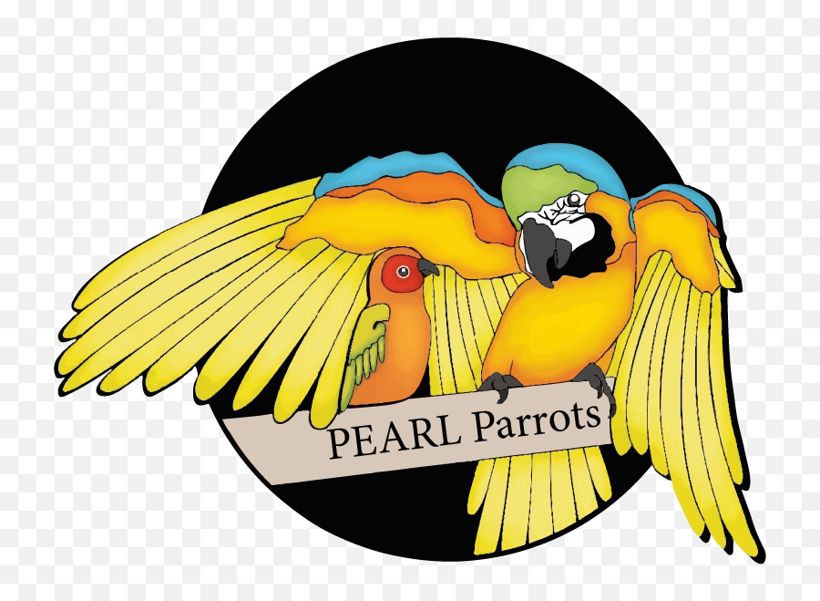 Announcing Our 2019 Charity Pearl Parrot Rescue U2014 Anthrocon - Pearl Parrots Png,Parrot Png