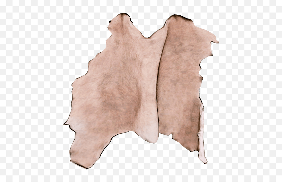 Raccoon Skin - Official The Forest Wiki Drawing In Animal Skin Png,Raccoon Png