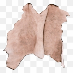 Raccoon Skin - Official The Forest Wiki Drawing In Animal Skin Png,Raccoon Png