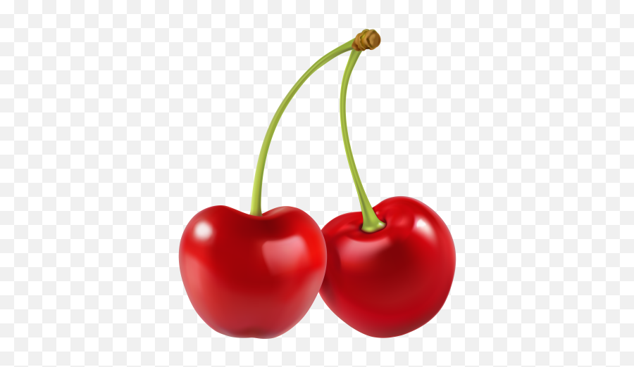 Cherries Png And Vectors For Free - Clipart Cherries Png,Cherries Png