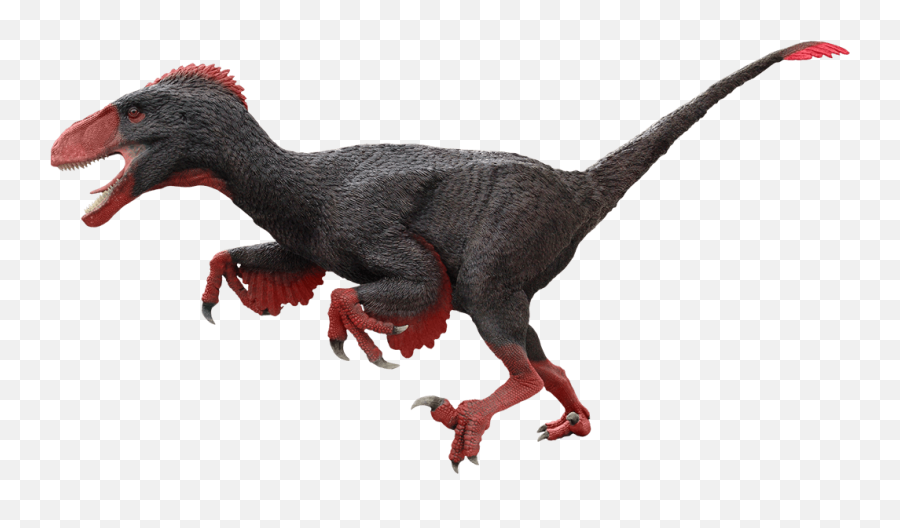 Utahraptor Ostrommaysorum - Utahraptor Dinosaur Png,Velociraptor Png