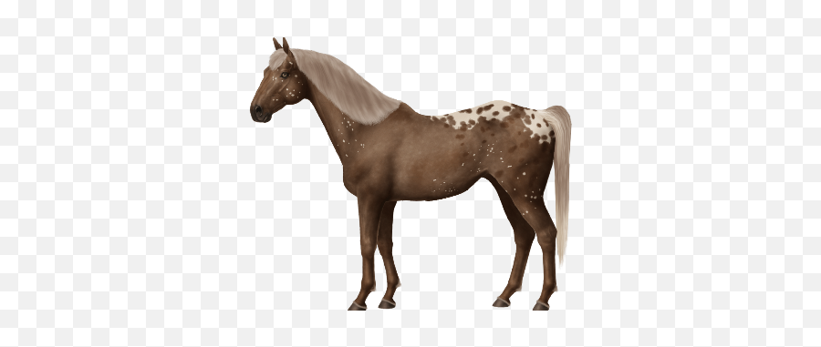 Keepo U2022 Horse World Online - Tortoiseshell Horse Png,Keepo Png