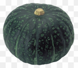 Pumpkin Png - Pumpkin,Squash Png