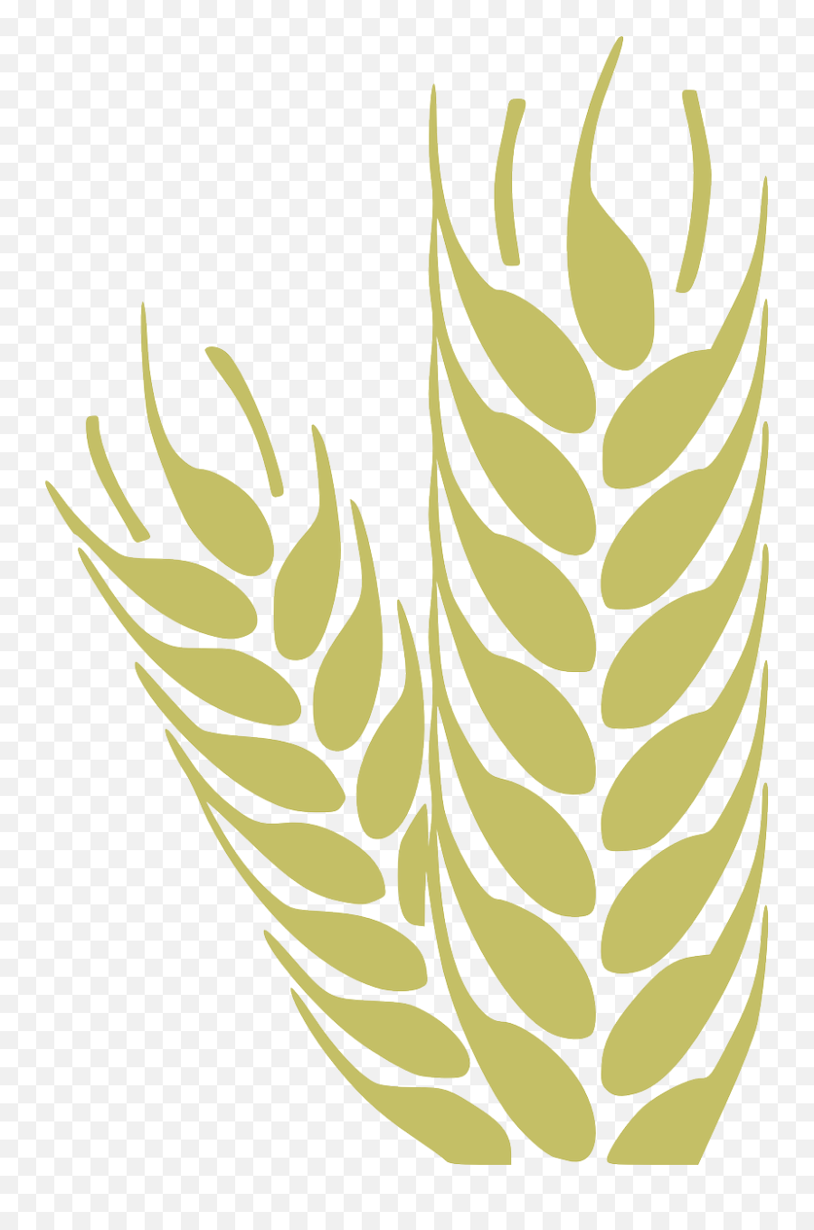 Simple Wheat Clip Art - Vector Clip Art Online Design Agriculture Visiting Card Background Png,Wheat Logo