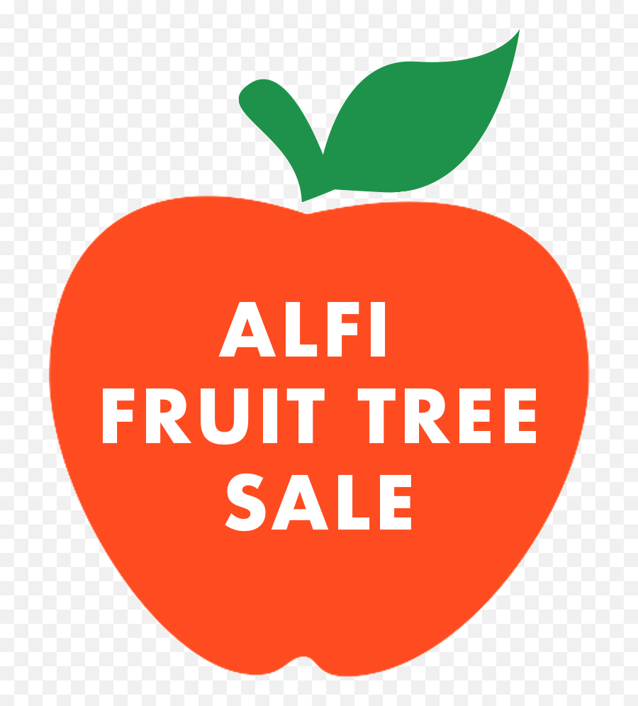 Alfi Fruit Tree Sale - Mcintosh Png,Fruit Tree Png