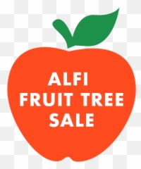 Alfi Fruit Tree Sale - Mcintosh Png,Fruit Tree Png