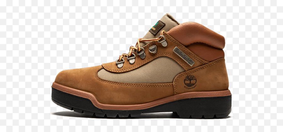 Field Boot - Hiking Shoe Png,Timberland Png