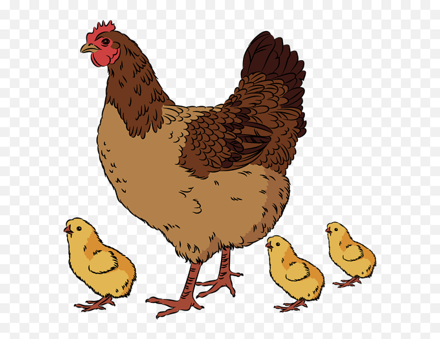 Hen Vector Mother Transparent U0026 Png Clipart Free Download - Ywd Chicken And Chick Clip Art,Chicken Clipart Transparent Background