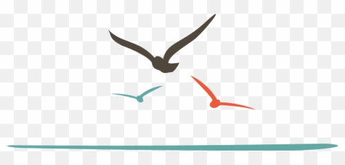 Pin - Bird Logo Sea png