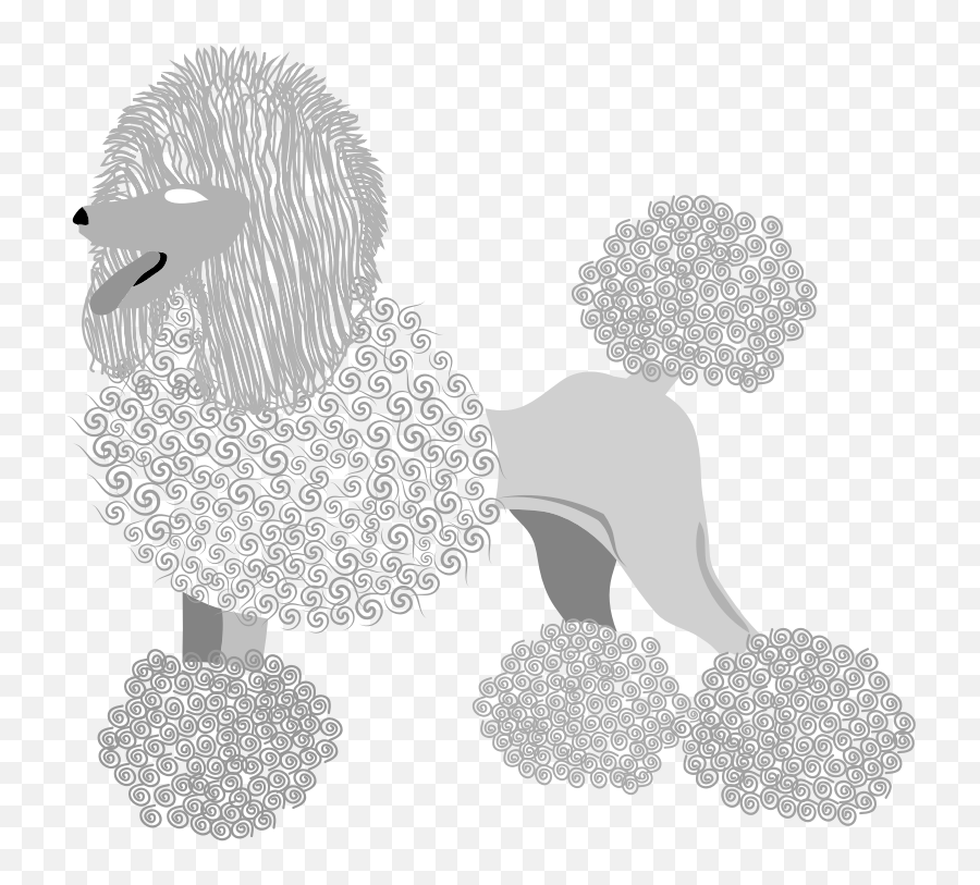 Download This Png File Is About Vector French Poodle - Portable Network Graphics,Poodle Png