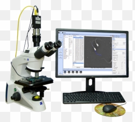 Ceros Ii - Computer Assisted Sperm Analysis Png,Semen Png