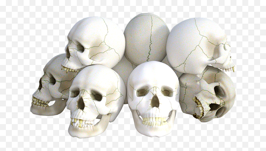 Skulls Horror Death - Free Image On Pixabay Cranios Png,Horror Png