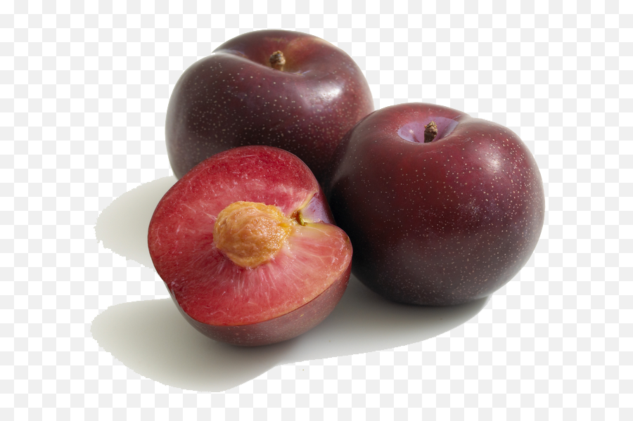 Download Plum Png Pic 1 - Types Of Plums,Plum Png