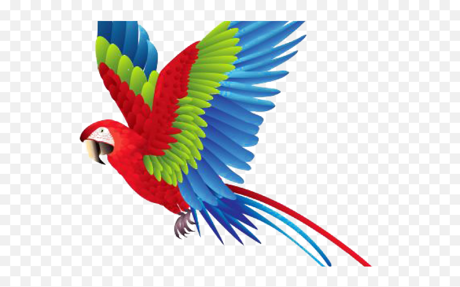 Macaw Png Transparent Images - Colorful Flying Parrot Drawing,Macaw Png