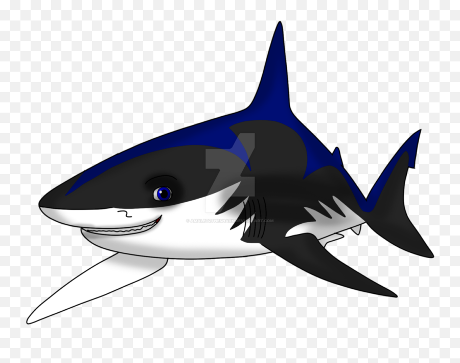 Cartoon Shark Png - Great White Shark,Cartoon Shark Png