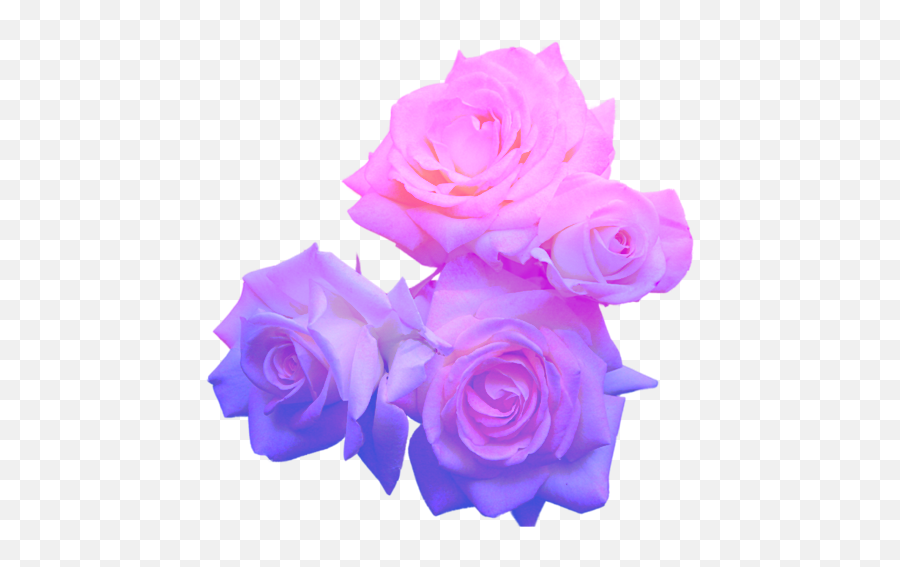 Shrugging Emoji - Pastel Purple Flower Png Full Size Png Aesthetic Flowers Transparent Png,Shrug Emoji Png